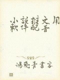 小说推文用什么软件配音