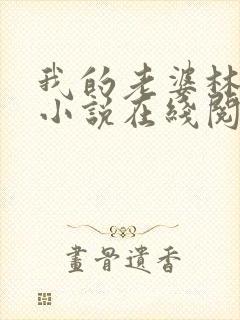 我的老婆林慧茹小说在线阅读无弹窗