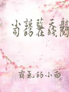 小说蓝天航空公司的在线阅读