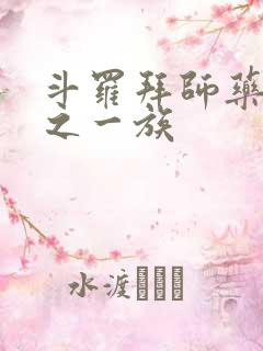 斗罗拜师药老破之一族