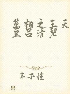 万相之王天蚕土豆吕清儿