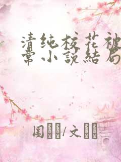 清纯校花被擒日常小说结局