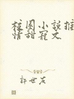 校园小说推荐言情甜宠文