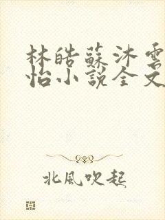 林皓苏沐云李静怡小说全文免费阅读