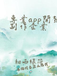专业app开发制作企业