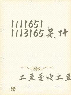 11116511113165是什么歌