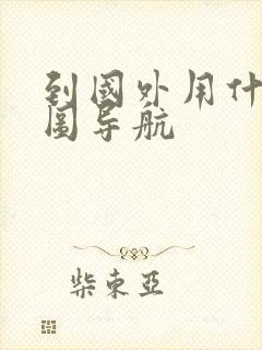 到国外用什么地图导航