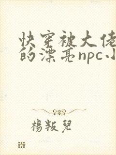 快穿被大佬觊觎的漂亮npc小说阅读