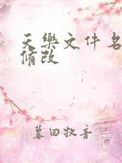 天乐文件名批量修改