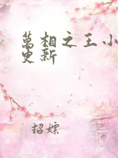 万相之王小说有更新