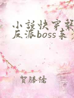 小说快穿系统之反派boss来袭txt