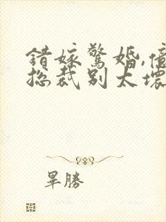 错嫁惊婚,亿万总裁别太坏