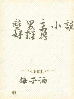 双男主小说文笔好推荐