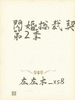 闪婚总裁契约妻第2季