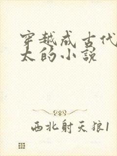 穿越成古代老太太的小说