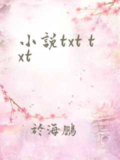 小说txt txt