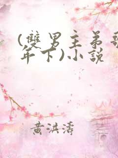 (双男主弟哥,年下)小说