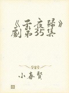 《子夜归》电视剧第35集