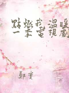 点燃我温暖你第一季电视剧免费观看