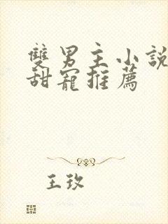 双男主小说豪门甜宠推荐