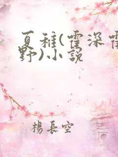 夏稚(霍深霍栖野)小说
