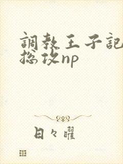 调教王子记网王总攻np
