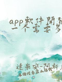 app软件开发一个需要多少价格