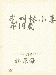 我叫林小喜,今年19岁