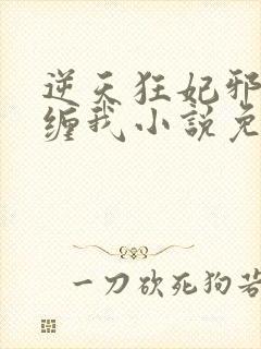 逆天狂妃邪王别缠我小说免费阅读