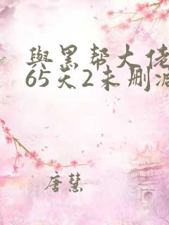 与黑帮大佬的365天2未删减版