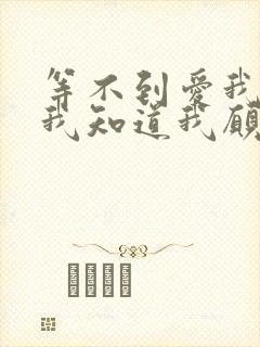 等不到爱我的人我知道我愿意在等