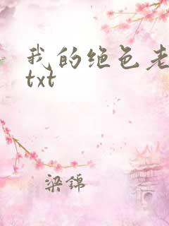 我的绝色老板娘txt