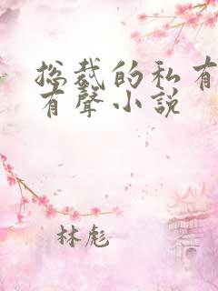 总裁的私有宝贝有声小说