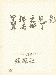 黑狐之风影方天翼去哪了