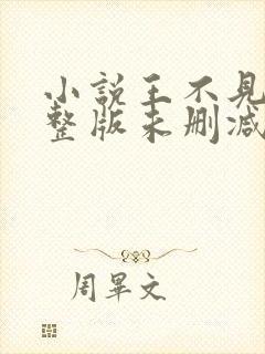 小说王不见王完整版未删减小说