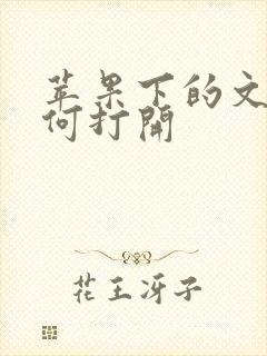 苹果下的文件如何打开