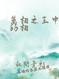 万相之王中李洛的相