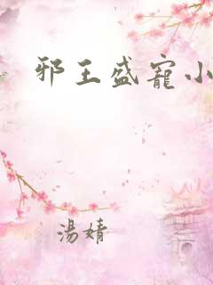 邪王盛宠小狂妃