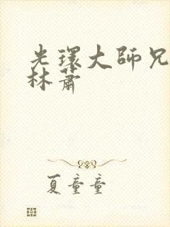 光环大师兄小说林萧