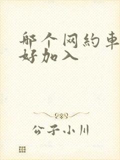 哪个网约车平台好加入