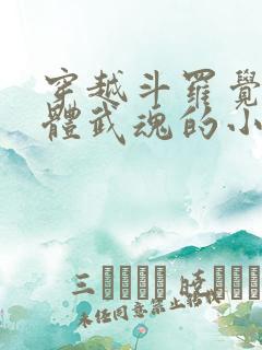 穿越斗罗觉醒本体武魂的小说