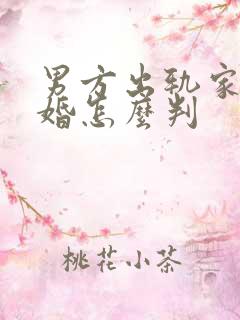 男方出轨家暴离婚怎么判