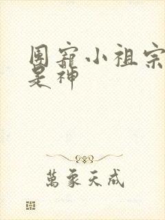 团宠小祖宗:她是神