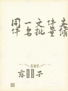 同一文件夹下文件名批量修改