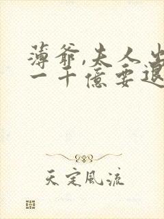 薄爷,夫人出价一千亿要退婚看