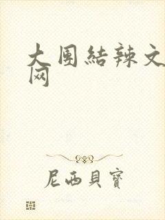 大团结辣文小说网