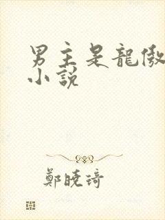 男主是龙傲天的小说