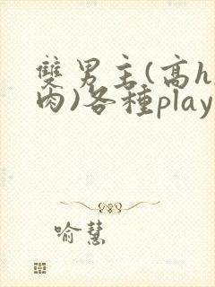 双男主(高h,肉)各种play