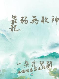 最弱无败神装机龙.