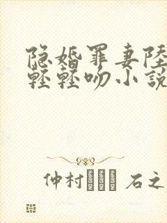 隐婚罪妻陆先生轻轻吻小说